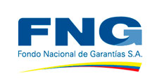 Fondo Nacional de Garantías - FNG